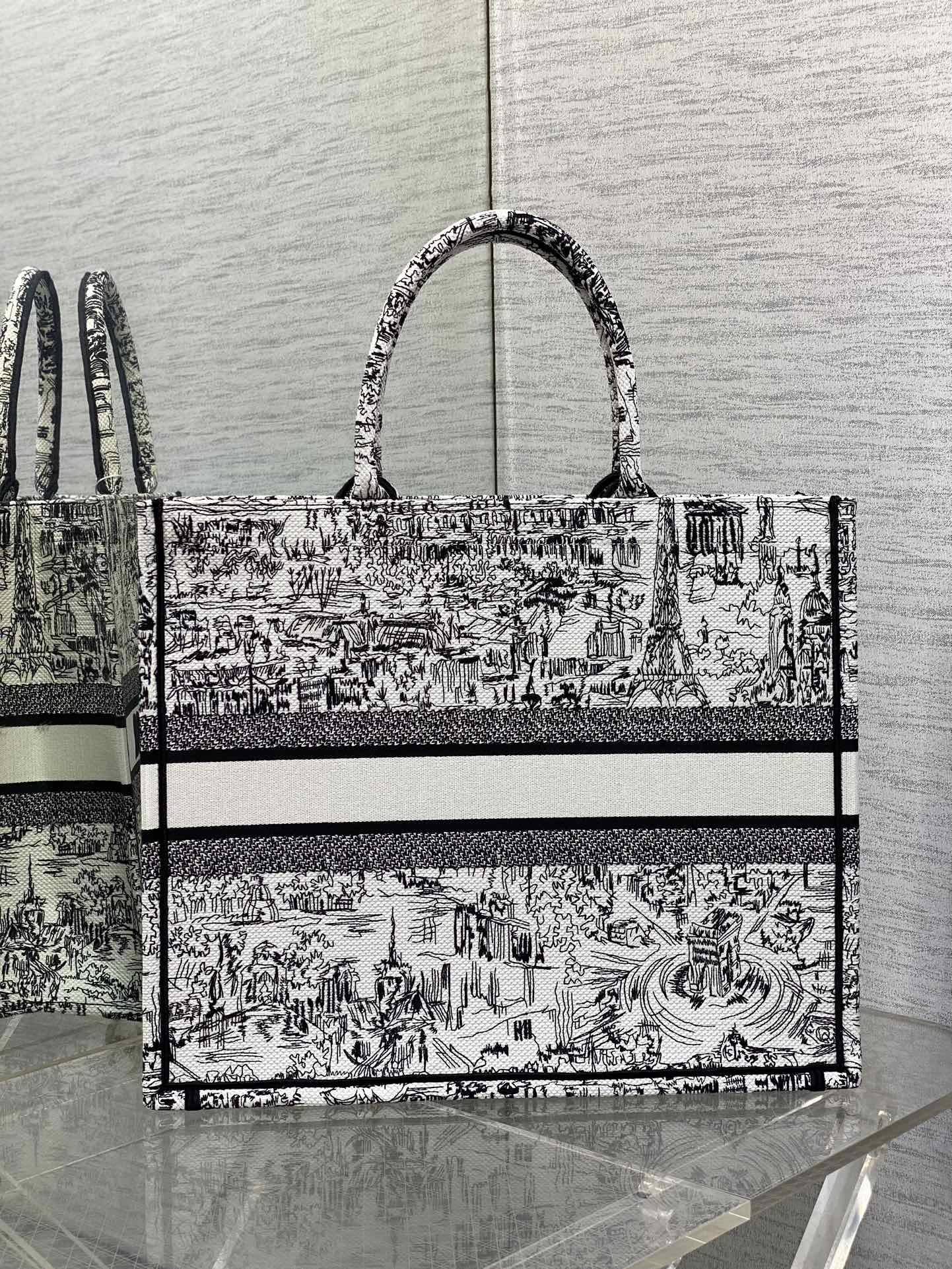 Large Dior Book Tote Bag White and Black Paris Allover Embroidery